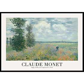 Gallerix Poster Poppy Fields 1875 By Claude Monet 50x70 5511-50x70