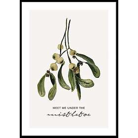 Gallerix Poster Under The Mistletoe 4868-21x30G