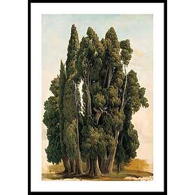 Gallerix Poster Villa d'Este By Gustaf Wilhelm Palm 70x100 4742-70x100