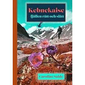 Caroline Salde: Kebnekaise fjällen rätt och slätt