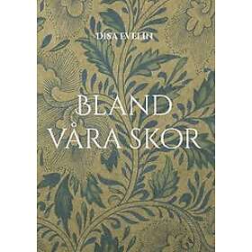 Disa Evelin: Bland våra skor