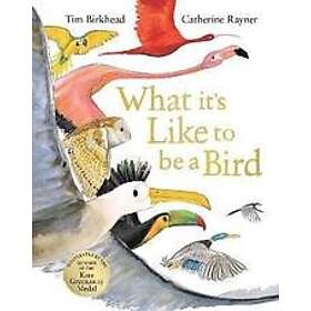 Tim Birkhead: What it's Like to be a Bird
