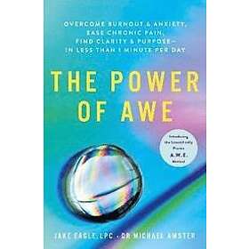 Jake Eagle, Dr Michael Amster: The Power of Awe