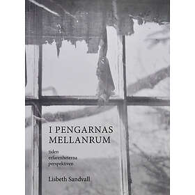 Lisbeth Sandvall: I pengarnas mellanrum tiden, erfarenheterna, perspektiven