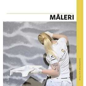 Örjan Grahn, Björn Nilsson: Måleri