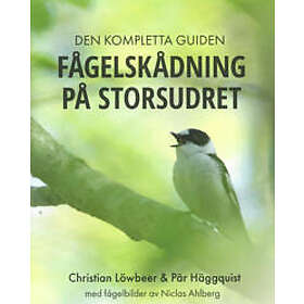 Christian Löwbeer, Pär Häggquist, Niclas Ahlberg: Fågelskådning på Storsudret
