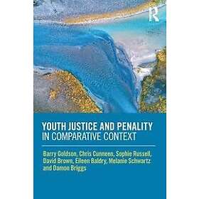 Barry Goldson, Chris Cunneen, Sophie Russell, David Brown, Eileen Baldry, Melanie Schwartz, Damon Briggs: Youth Justice and Penality in Comp