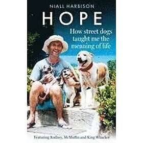 Niall Harbison: Hope How Street Dogs Taught Me The Meaning Of Life