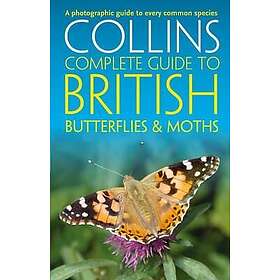 Paul Sterry, Andrew Cleave, Rob Read: British Butterflies and Moths