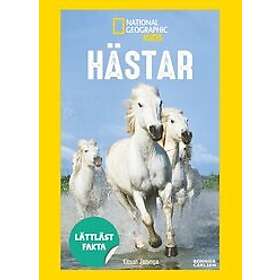 Kitson Jazynka: Hästar