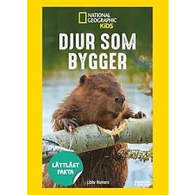 Libby Romero: Djur som bygger