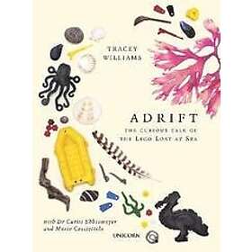 Tracey Williams: Adrift