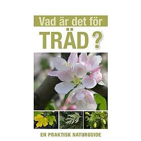 Tony Russell: Vad är det för träd?