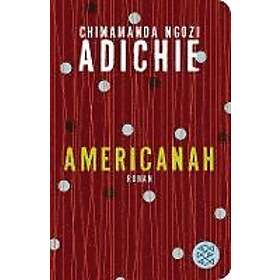 Chimamanda Ngozi Adichie: Americanah