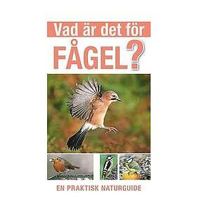 Rob Hume: Vad är det för fågel?