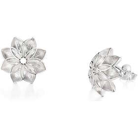 Lumoava Euphoria örhängen 5461 00 000