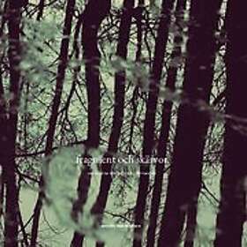 Annelie von Wowern: Fragment och skärvor om ekon ur det förflutna i varande