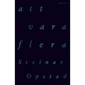 Steinar Opstad: Att vara flera