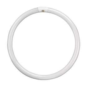 Crompton Circular Triphosphor T9 4-pin 4000K G10q 22W