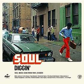 Soul Diggin' Vinyl