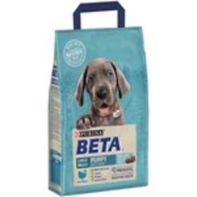 beta large breed puppy