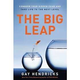 Big Leap Engelska EBook