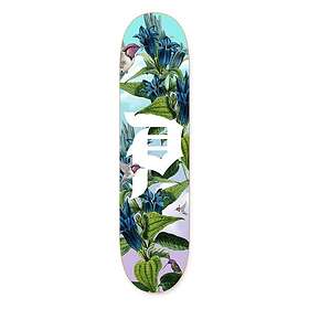Primitive Dirty P Humming 8,0