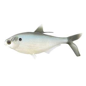 Astuces de Pêche aux Swmbats Souples - YouTube
