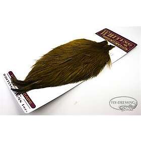 Whiting Coq de Leon Cape Badger Grizzly