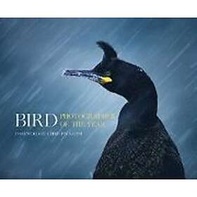 Bird Photographer of the Year: Bird Photographer of the Year