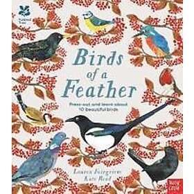 Lauren Fairgrieve: National Trust: Birds of a Feather: Press out and learn about 10 beautiful birds