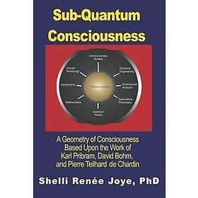 Shelli Renee Joye: Sub-Quantum Consciousness: A Geometry of Consciousness Based Upon the Work Karl Pribram, David Bohm, and Pierre Teilhard 