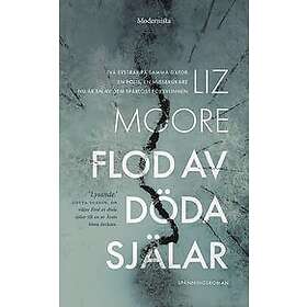 Liz Moore: Flod av döda själar