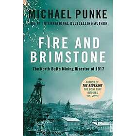 Michael Punke: Fire and Brimstone