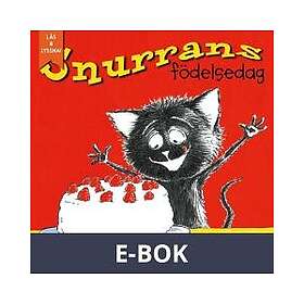 Snurrans födelsedag – E-bok
