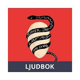 Saker jag lärt mig om sorg, Ljudbok