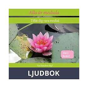 OMSTART AB Alla är mediala. Tillåt dig vara medial: Vad hindrar dig? Att fatta beslut, Ljudbok