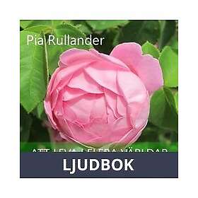 OMSTART AB Att leva i flera världar samtidigt, Ljudbok