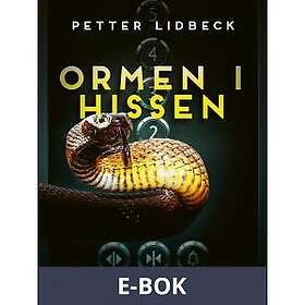 Lilla Piratförlaget Ormen i hissen och 12 andra märkliga historier, E-bok