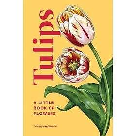 Random House USA Tulips