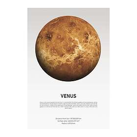 Malerifabrikken Poster Venus Light Vit