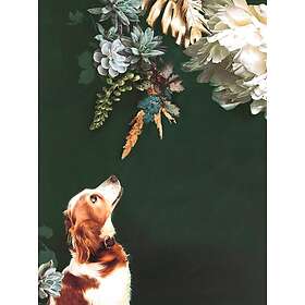 Malerifabrikken Poster Pet Couture 1 Multi