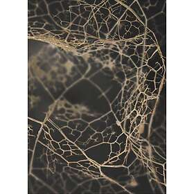 Malerifabrikken Poster Leaf skeleton dark Svart