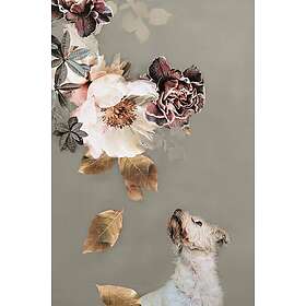 Malerifabrikken Poster Pet Couture 2 Multi