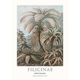 Malerifabrikken Poster Tafel 92 Grön