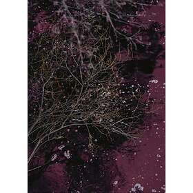 Malerifabrikken Poster River of wine Röd