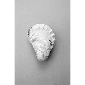 Malerifabrikken Poster Oyster 2 Grå