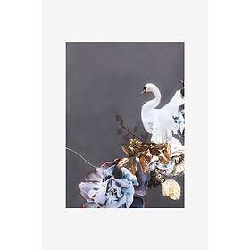 Malerifabrikken Poster Swan Gold 1 Grå