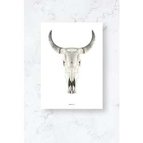 Malerifabrikken Poster Cow skull Plano Vit 30X40