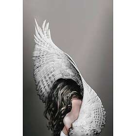 Malerifabrikken Poster Nike Brun 70X100